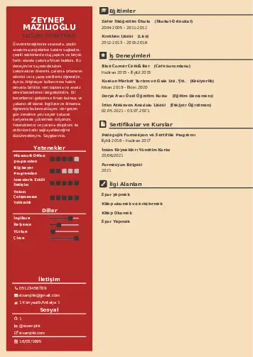 Felsefe Öğretmeni CV Örnekleri cv indir